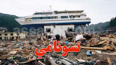 tsunami japan