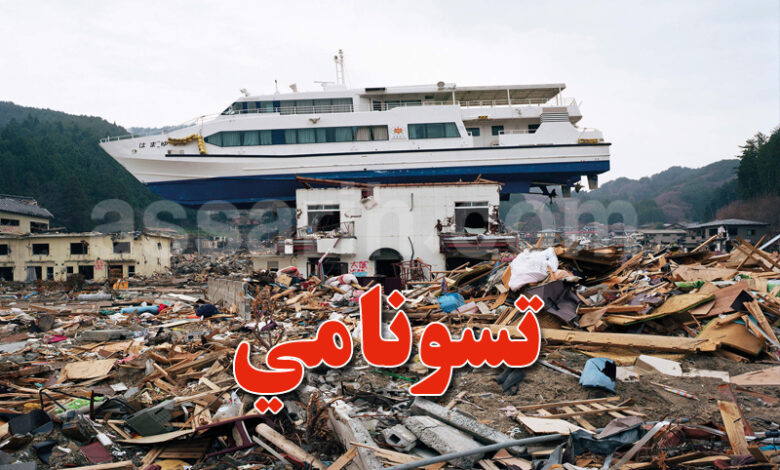 tsunami japan