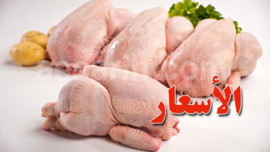 viande poulet