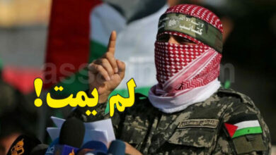 Abou-Oubaida-780x470