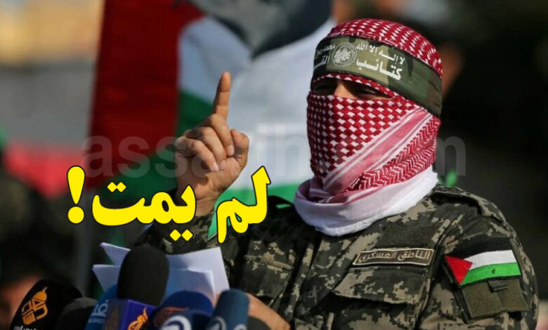 Abou-Oubaida-780x470