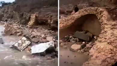 En raison des fortes vagues... plusieurs découvertes archéologiques ont été faites à Nabeul et Mahdia.