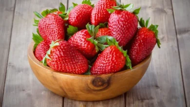 FRAISE