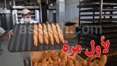 Pain boulangerie Tunisie