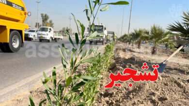 Planter des arbres le long des autoroutes