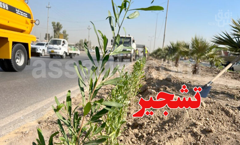 Planter des arbres le long des autoroutes