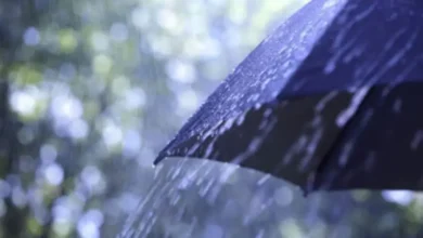 Pluie (5)