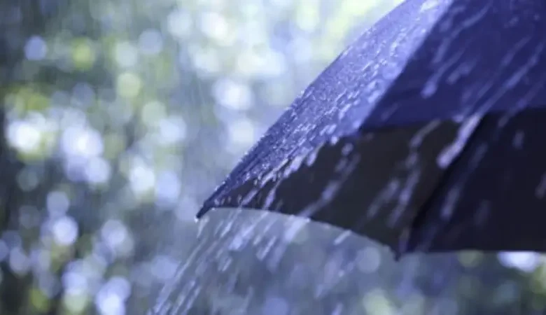 Pluie (5)
