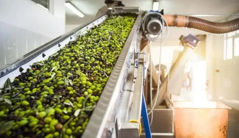 Pressoirs à huile d'olive