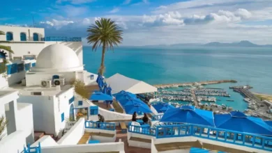 Sidi Bou Saïd (1)