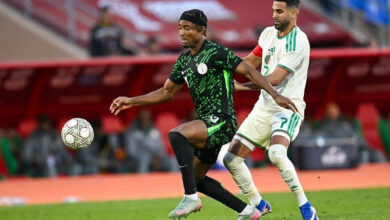 algérie vs nigeria