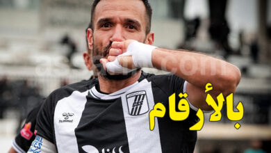 ali maaloul