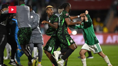 altercations Match Algerie VS nigeria