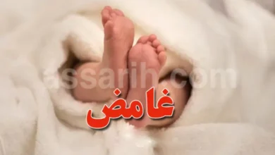 bebe-780x470