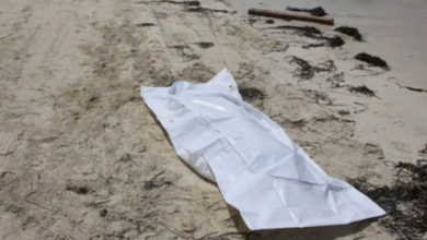 cadavre