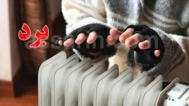 froid-780x470
