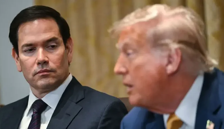 marco rubio et donald trump