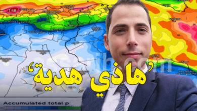 mehrez ghannouchi