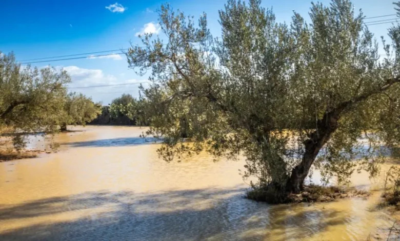 nabeul tunisie