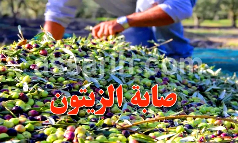 olives