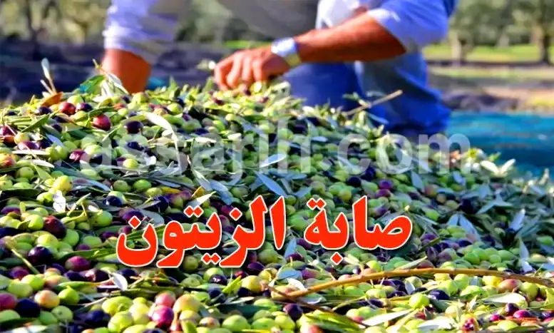 olives