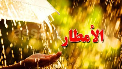 pluie
