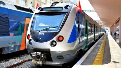 train (1)