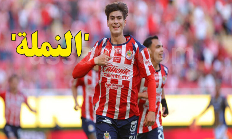 Armando Gonzalez Barcelona
