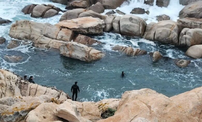 Beja Opérations de recherche intensives pour un jeune homme disparu en mer