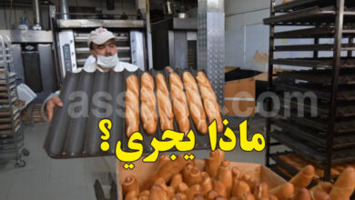 Boulangerie Pain Tunisie