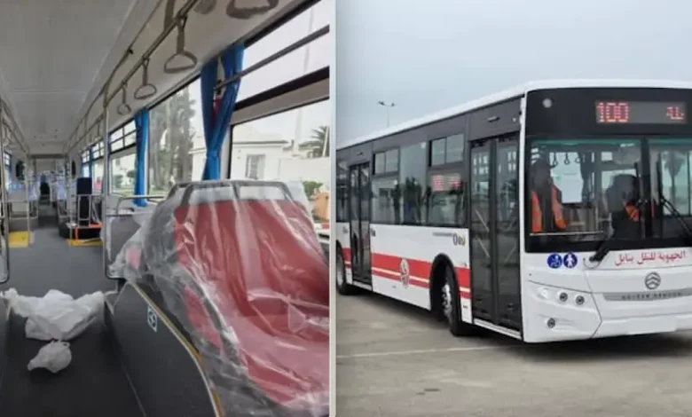 Bus Transport Nabeul