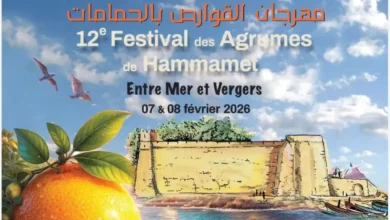 Festival des Agrumes de Hammamet