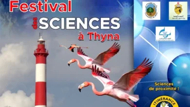 Festival des sciences à Tina - Sfax
