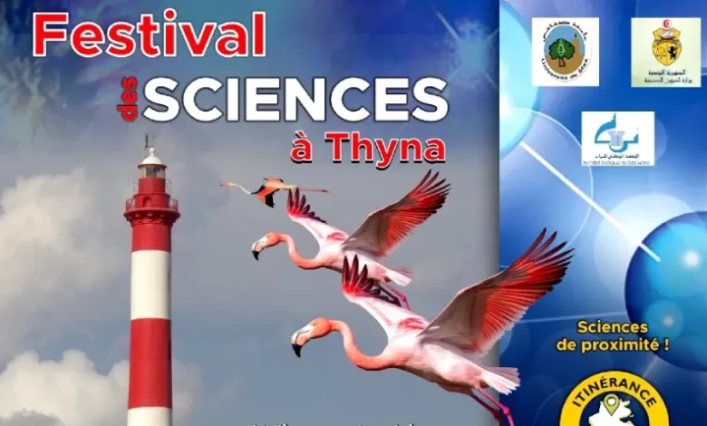 Festival des sciences à Tina - Sfax