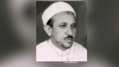 Habib-Mistaoui