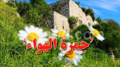 Jamrat El Houaa