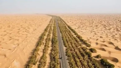 La progression du sable est combattue par la promotion du reboisement.