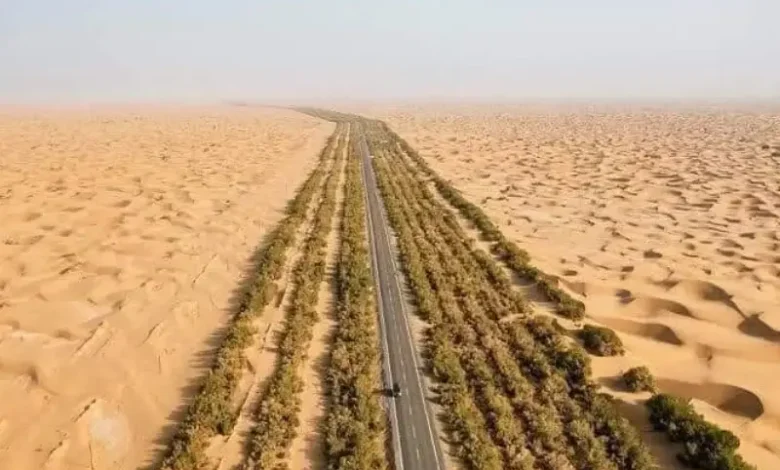 La progression du sable est combattue par la promotion du reboisement.