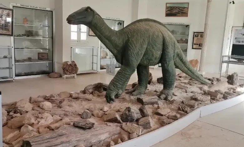 Le Musée de la Mémoire de la Terre attire des milliers de visiteurs