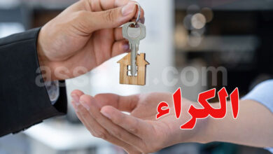 Location de logements