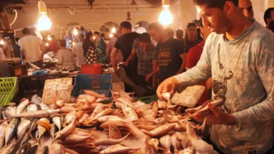 Marché Poisson Tunis Sfax