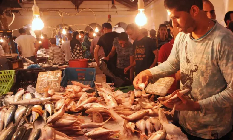 Marché Poisson Tunis Sfax
