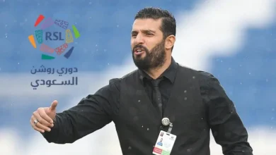 Nassif Al-Bayawi