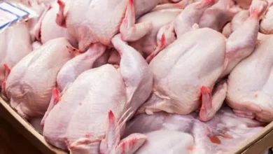 Viande de volaille