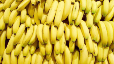 bananes-780x470