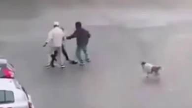 braquage la soukra tunisie video