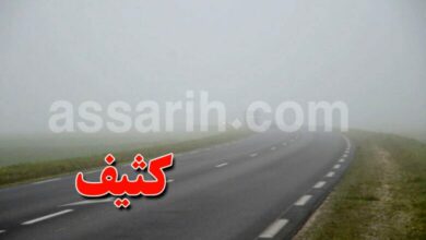 brouillard