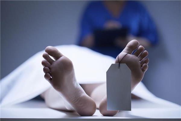 cadavre