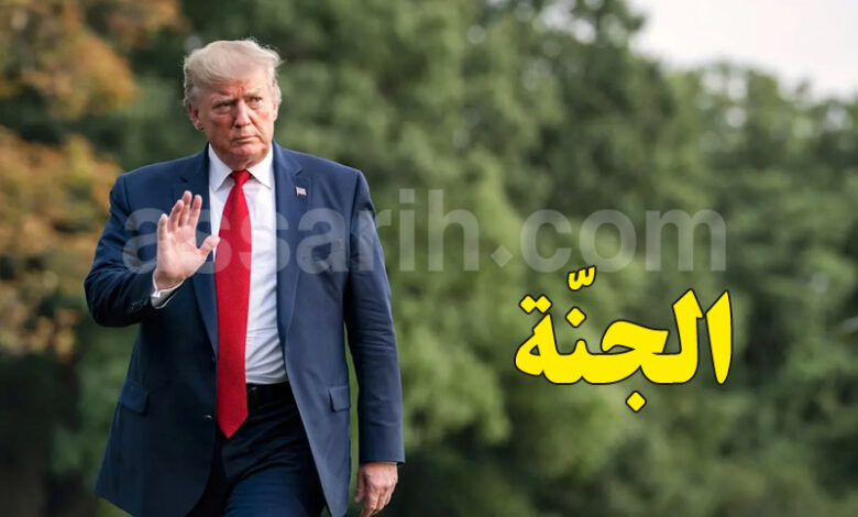 donald trump
