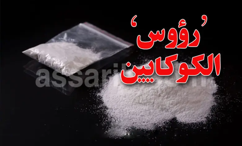 drogue-Cocaine-Manouba